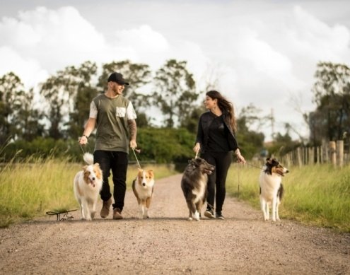 Ovelheiros Gaúchos da Morada de São Chico, Thabia Padoin, fotografia de estimação, Ensaio fotográfico externo de animais e família